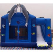dolphin bouncer slide combo Dolphins